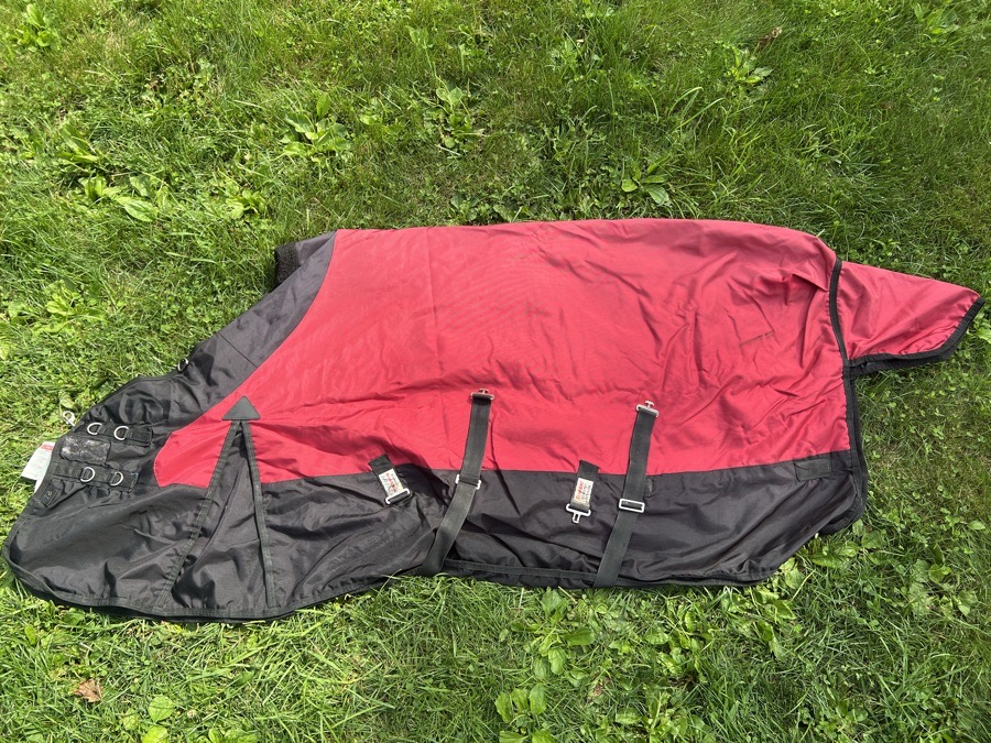 SCHNEIDER'S SADDLERY 78 t/o medium