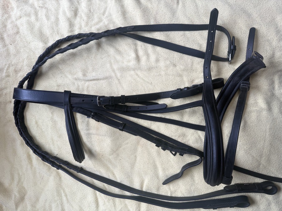 black full sized flash bridle
