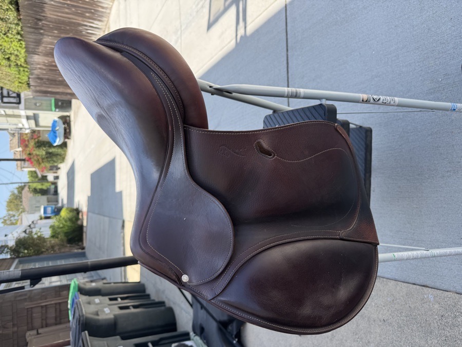2019 17” Antares Saddle