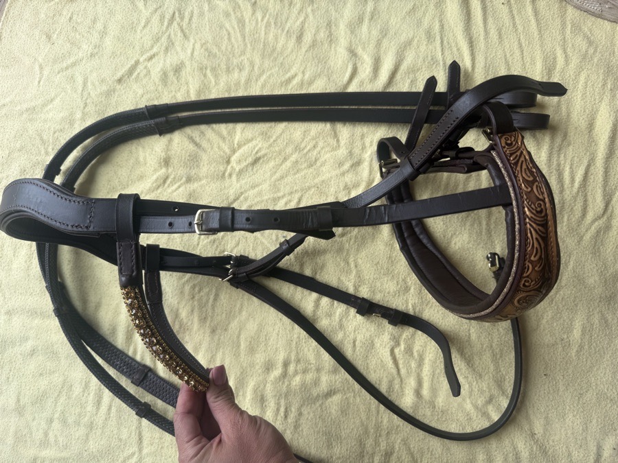 beautiful bling cob bridle