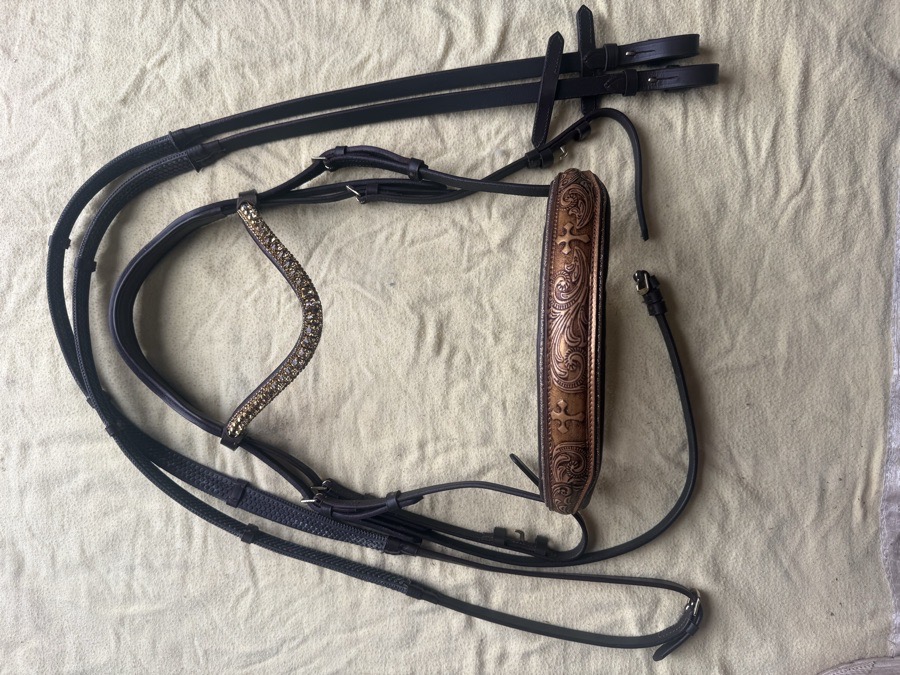 beautiful bling cob bridle