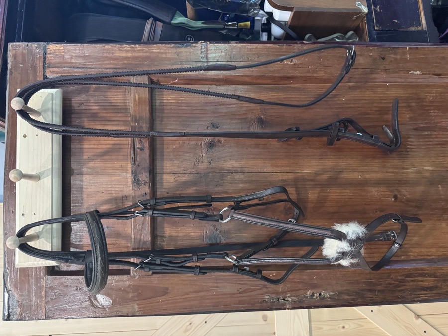 OTHER Bridle Horse