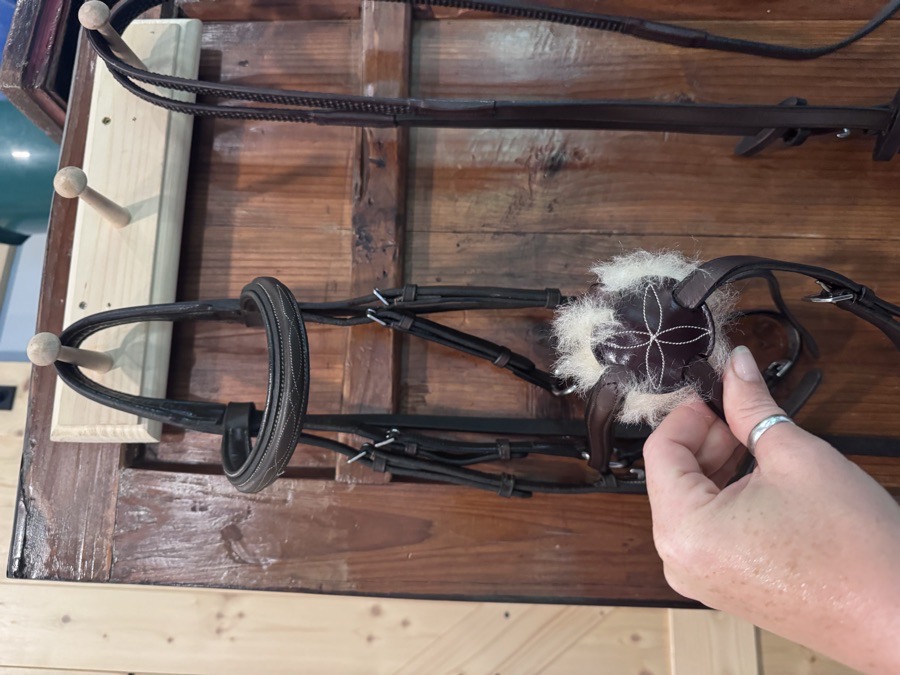 OTHER Bridle Horse
