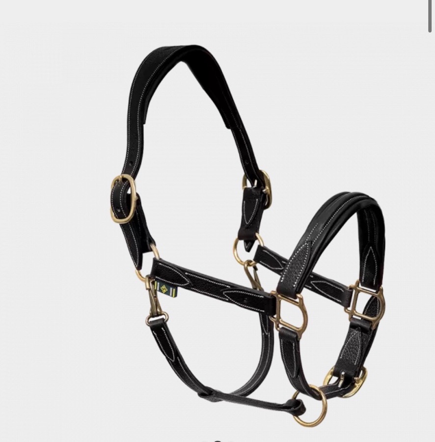 DEVOUCOUX Halter/Rope Horse
