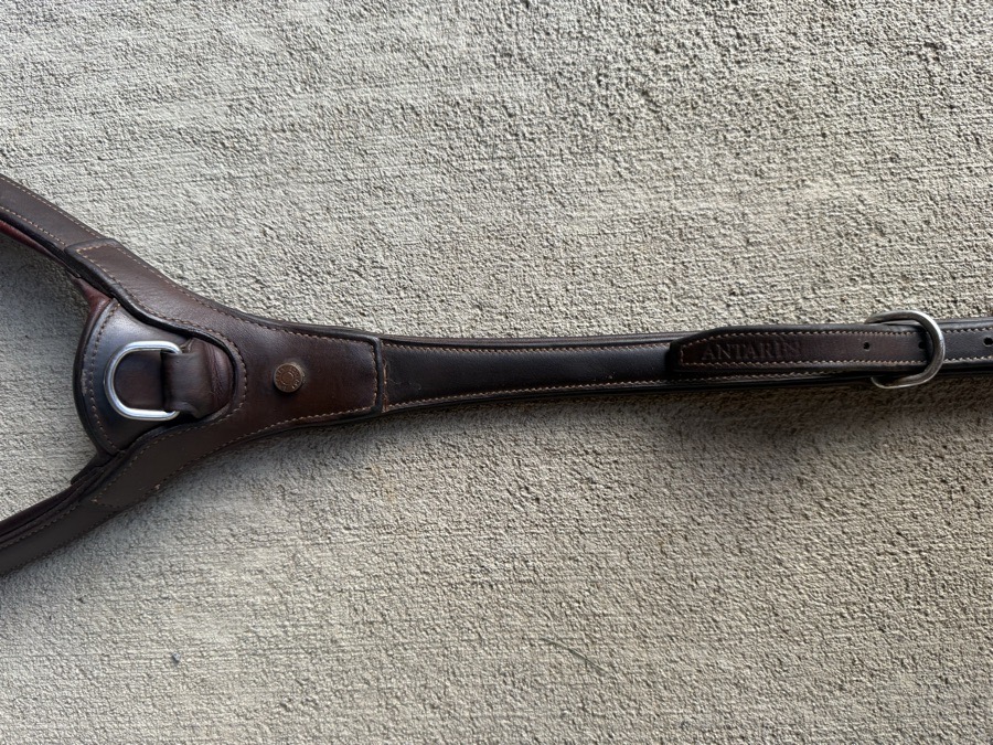 Antares Precision Breastplate