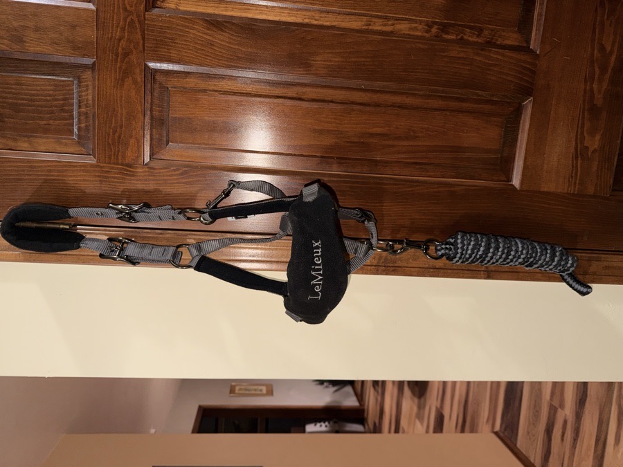 New Lemieux Vogue Halter