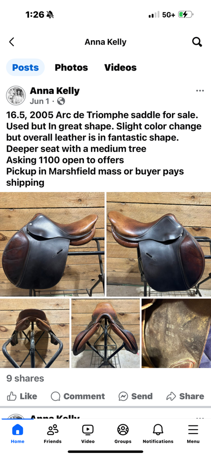 16.5, 2005 Arc de Triomphe saddle for sale