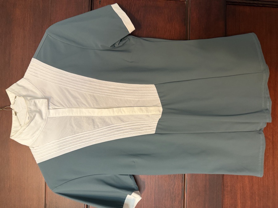 IAGO Short sleeve show shirt (Small)