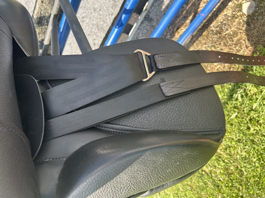 Stubben Aramis Grand Prix