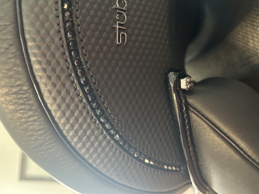 Stubben Aramis Grand Prix