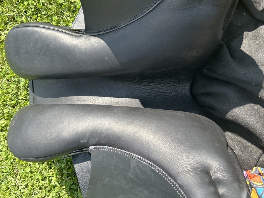 Stubben Aramis Grand Prix