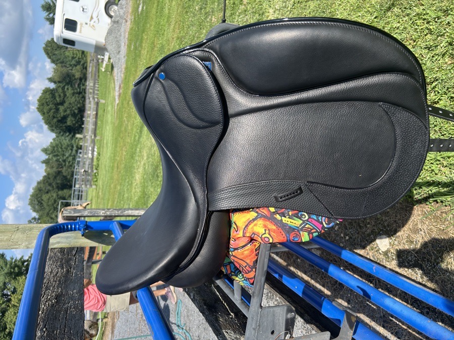 Stubben Aramis Grand Prix