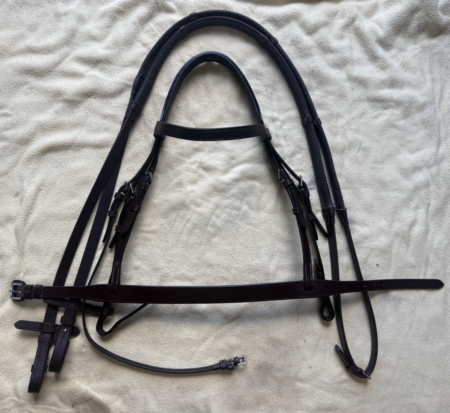 cob sized hunt bridle