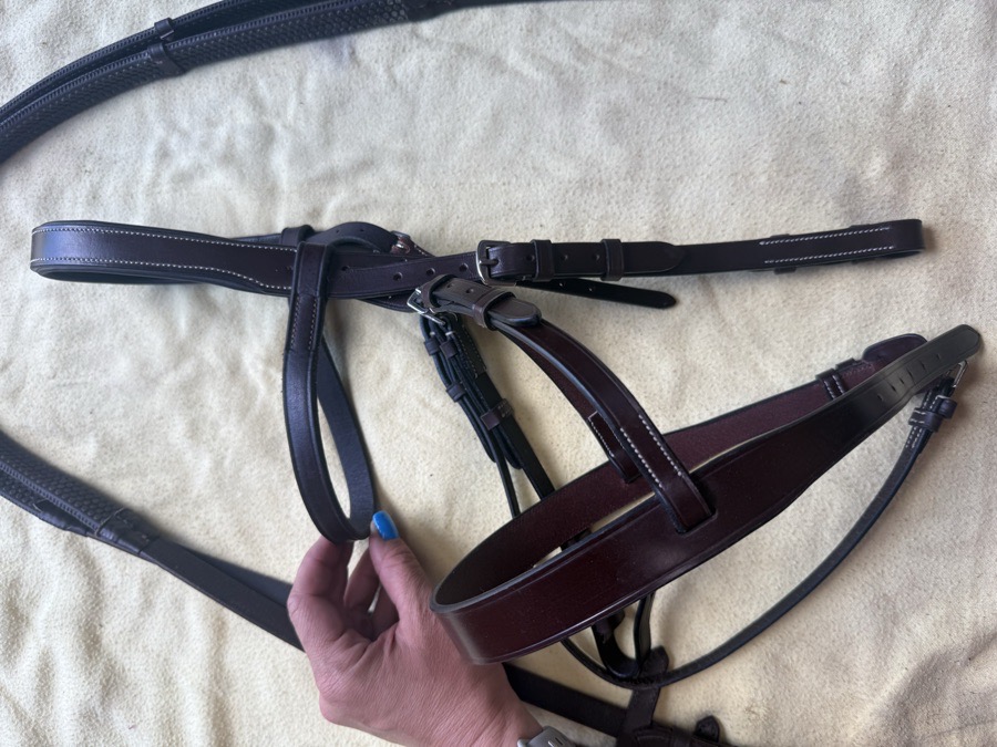 cob sized hunt bridle
