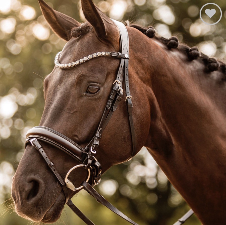 Horze Kansas Black Leather Anatomical Bridle Crystal tack horse dressage riding