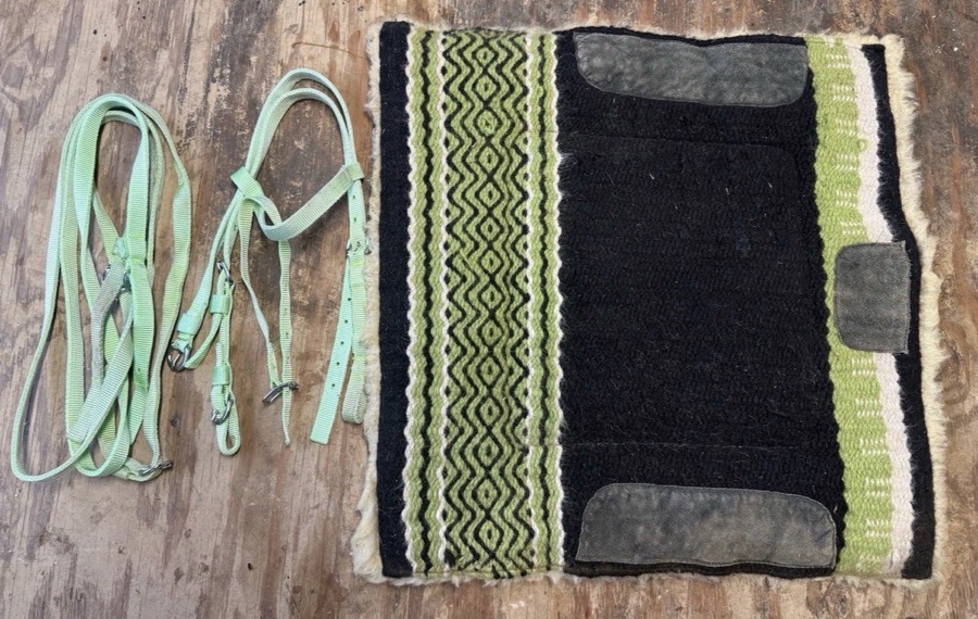 Pony tack set