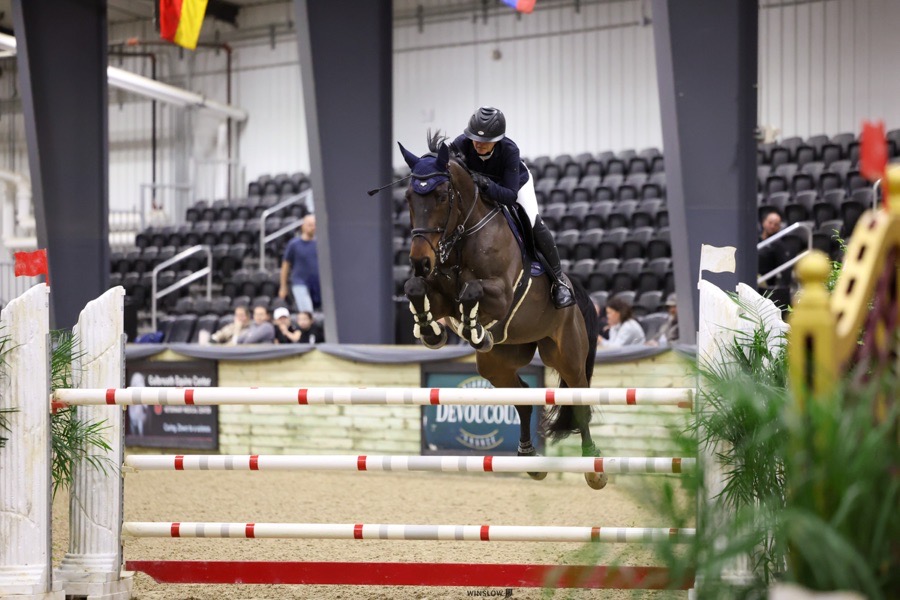 GP horse 1,40-1,45 3*