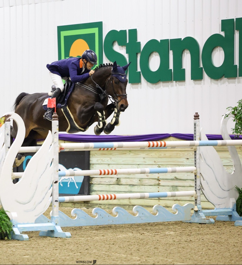 GP horse 1,40-1,45 3*