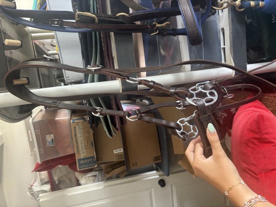 MD equestrian bitless Bridle (BRAND NEW!!)