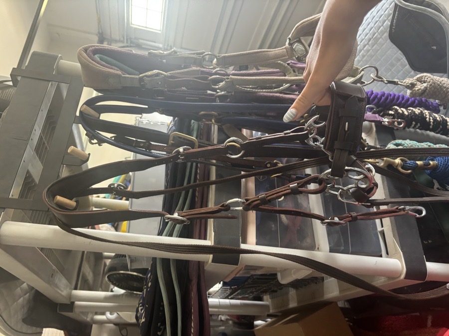 MD equestrian bitless Bridle (BRAND NEW!!)