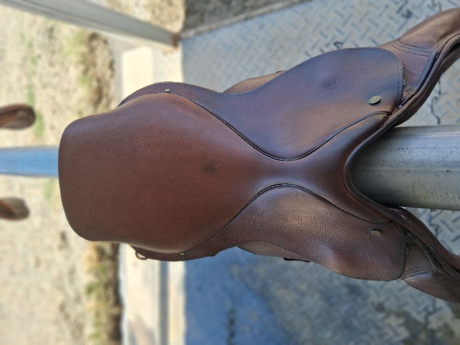 17" M Crosby Equilibrium Jump Saddle