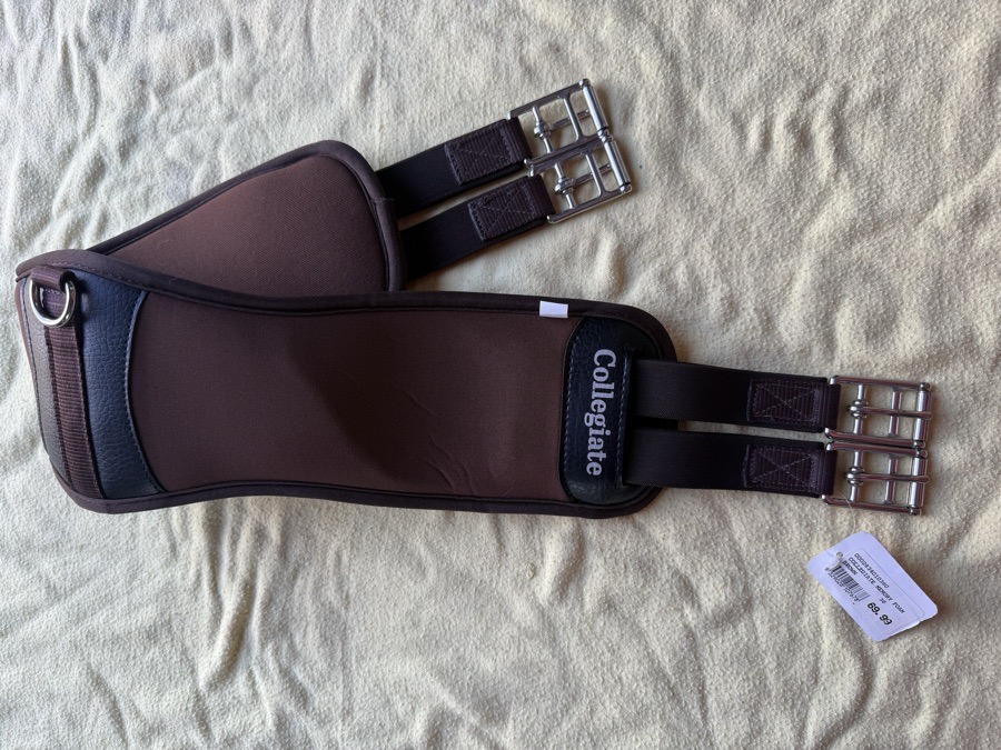 COLLEGIATE 38” memory foam girth
