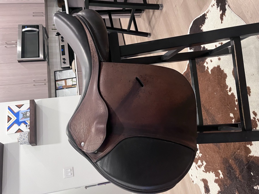 CUSTOM SADDLERY | 17"