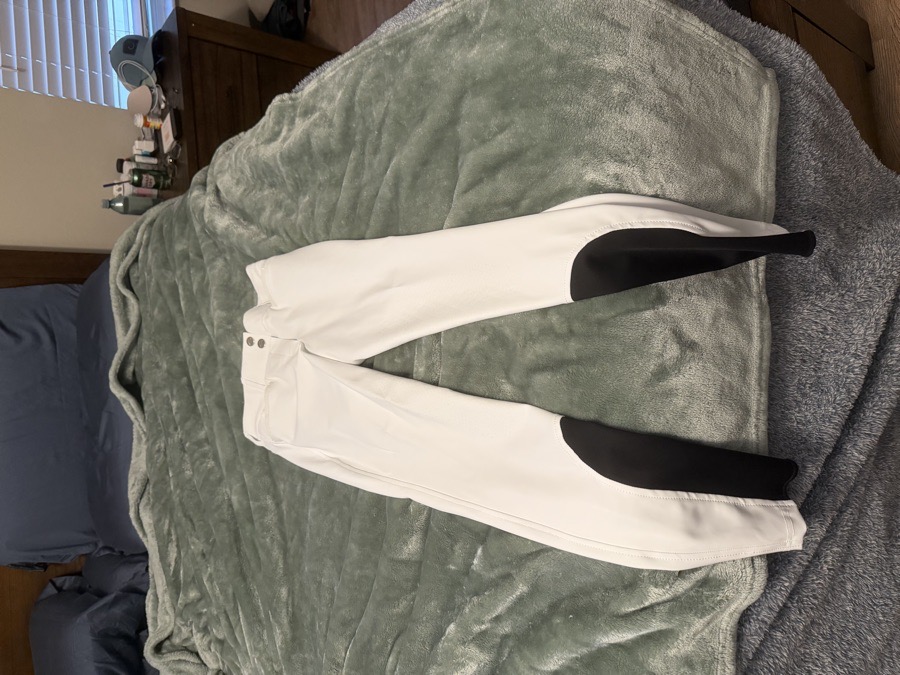 EQUILINE Riding Pants - Breeches