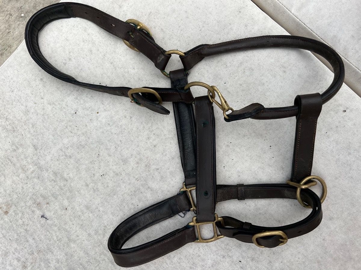 Dark Brown Padded Full Size Halter