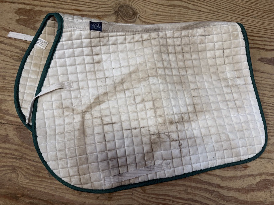 Quited saddle pad