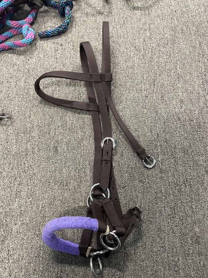 Nylon bitless bridle 