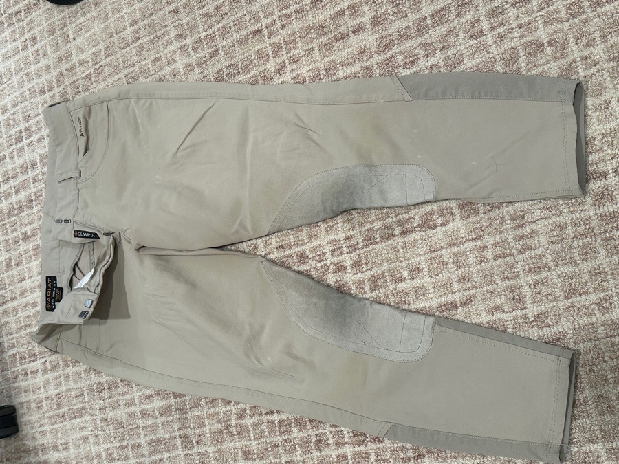 Ariat Olympia breeches