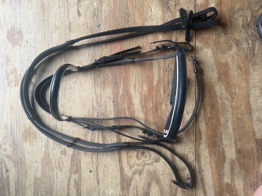horse sized black and white bridle