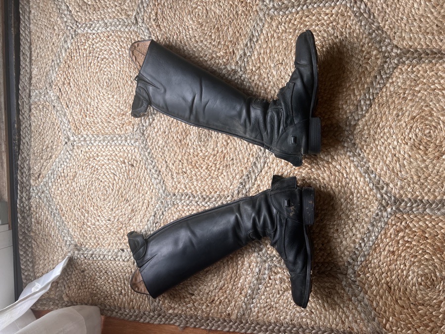 Dover saddlery Madison field boot