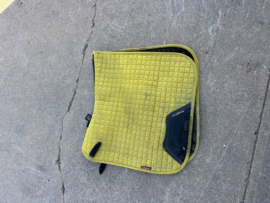 Design yellow dressage Lemieux pad 