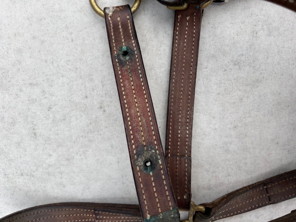 Beval Triple Stitch Horse Halter
