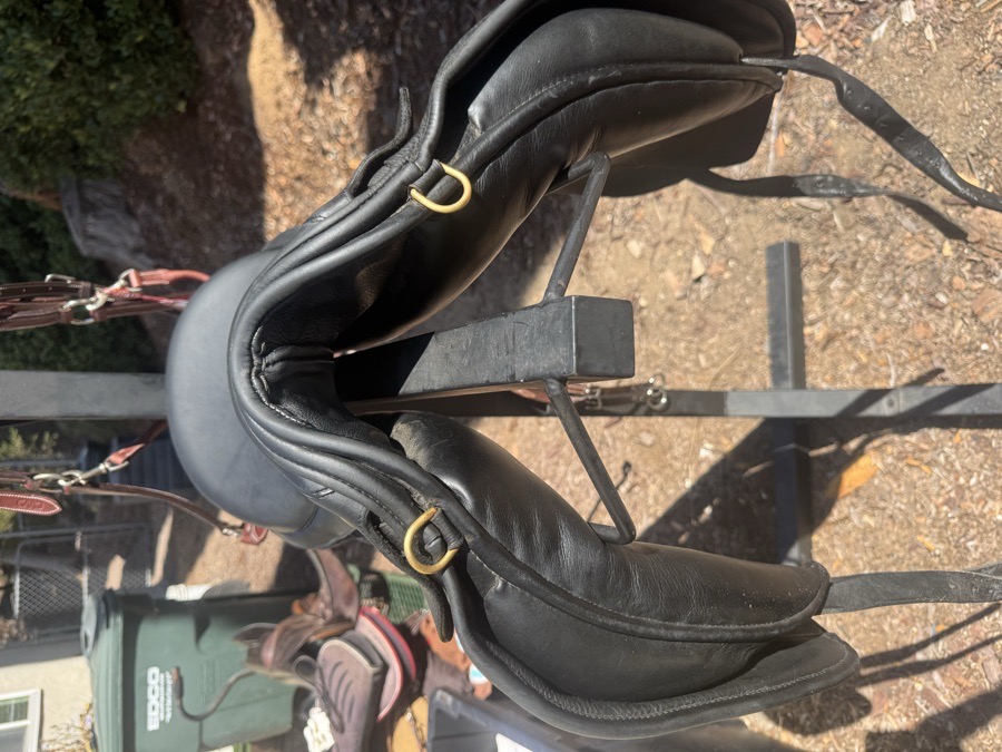 REVERE SADDLERY | 16.5" | 4.75" Tree Size | 2020