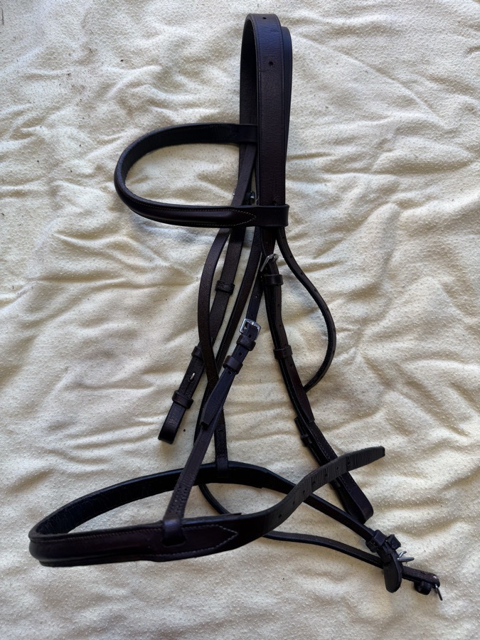 brown cob round raise bridle