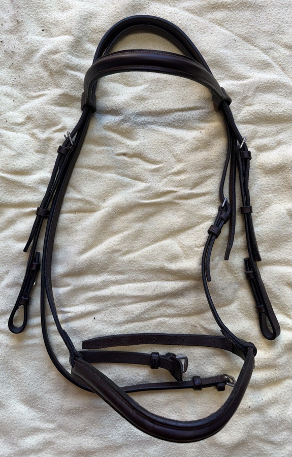 brown cob round raise bridle