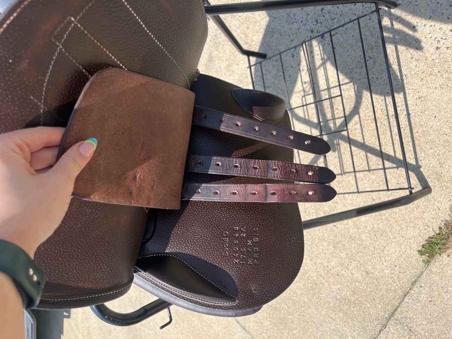 Forestier Saddle Seoul C
