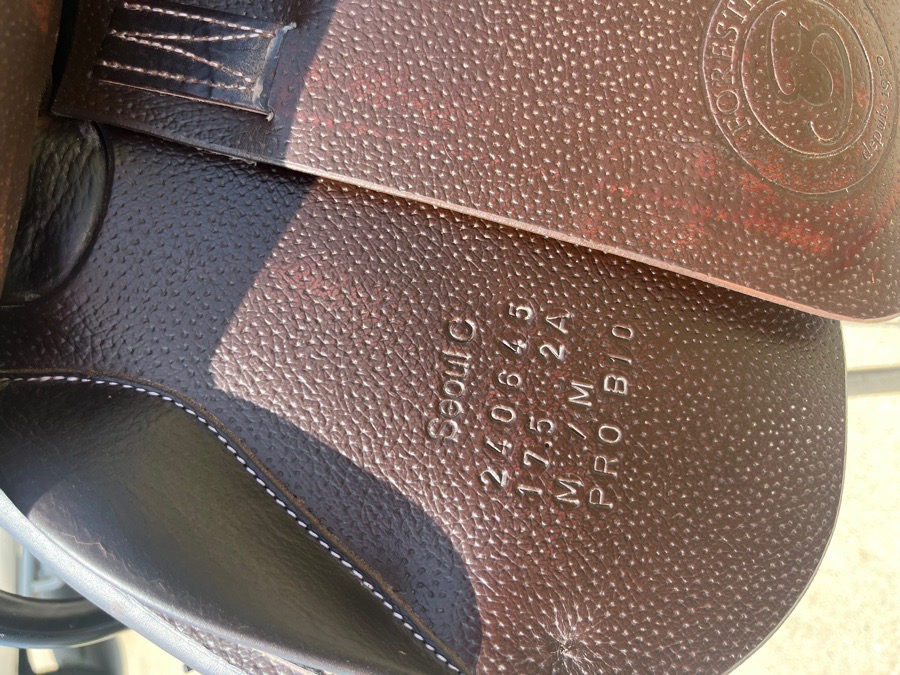 Forestier Saddle Seoul C
