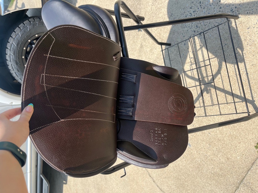 Forestier Saddle Seoul C