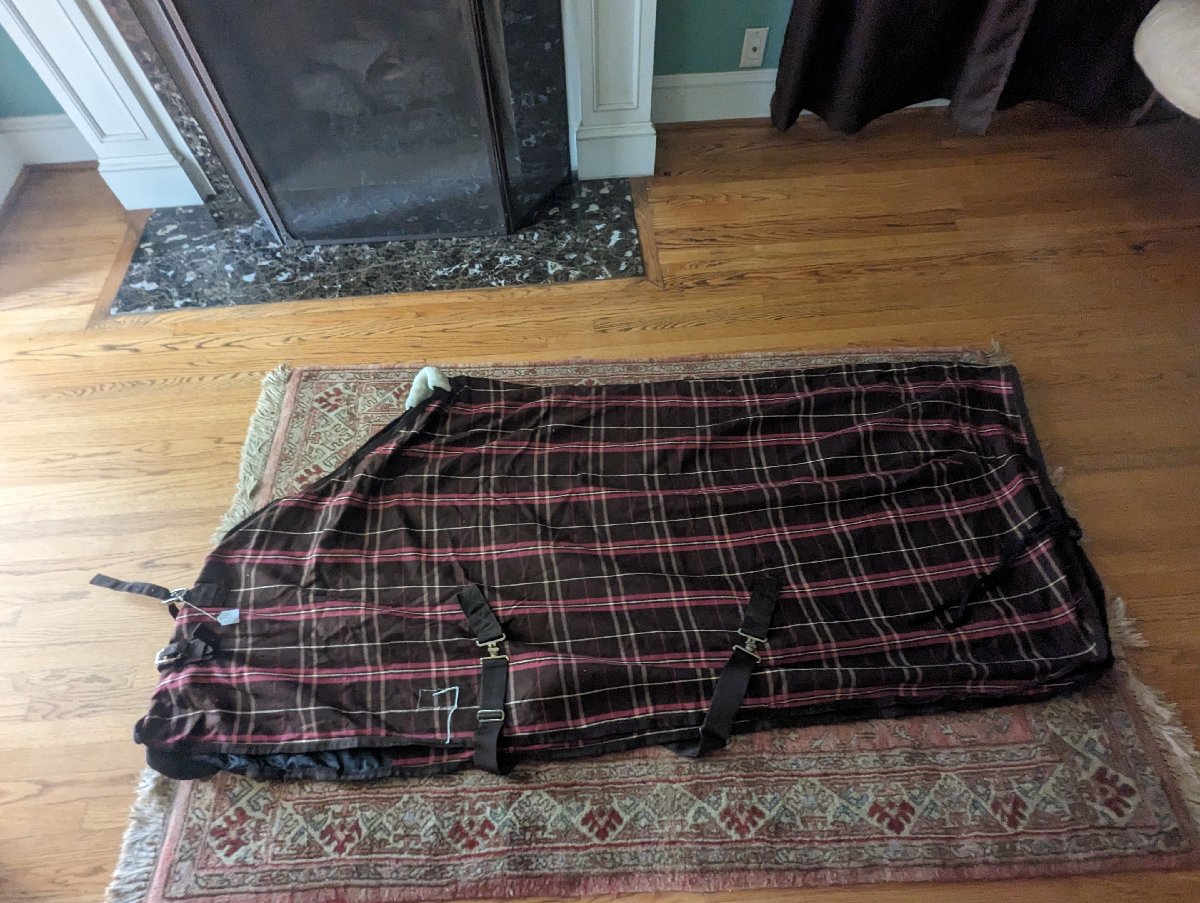 Dover Riders International stable sheet