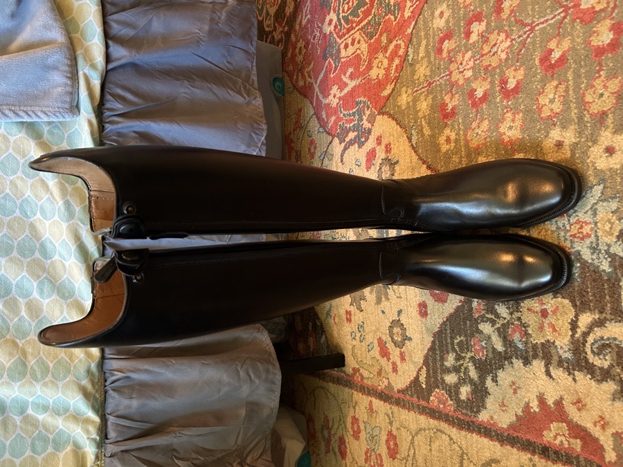 Brand new Petrie Anky Elegance dressage boots