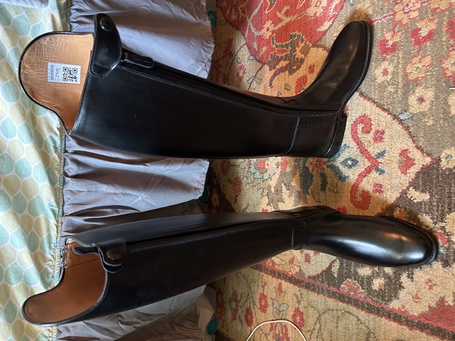 Brand new Petrie Anky Elegance dressage boots