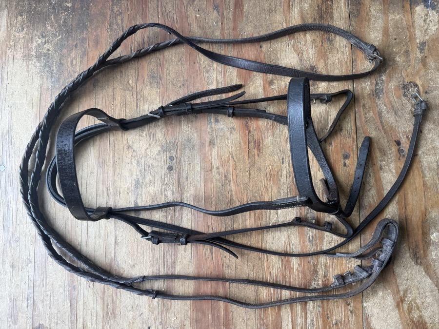 full sized hunt bridle