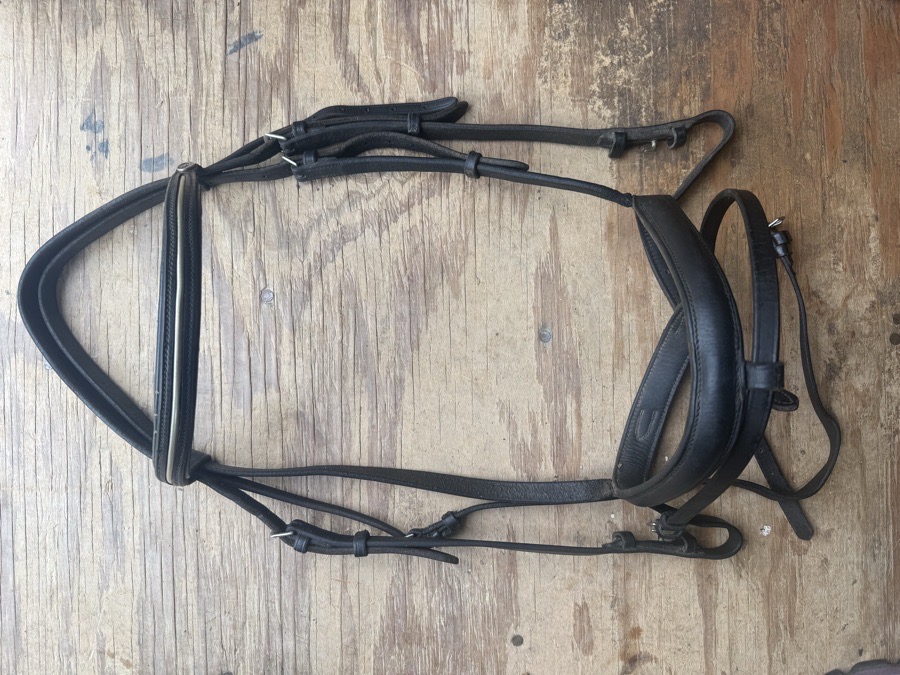 Bobby’s English Tack draft size bridle
