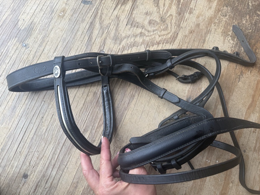 Bobby’s English Tack draft size bridle