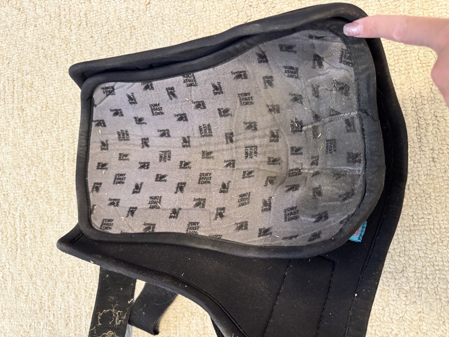VEREDUS Magnetik Stable Boots - Rear