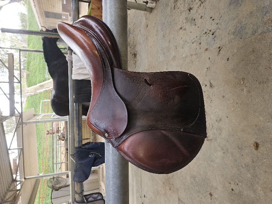 Antares Saddle, 17", Calf, Good Condition 